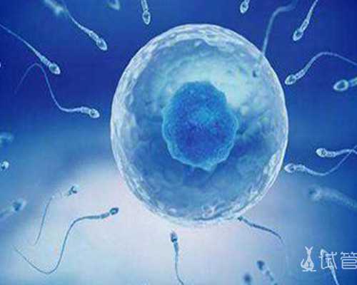 子宫内膜薄就是雌激素低吗-最靠谱代孕机构