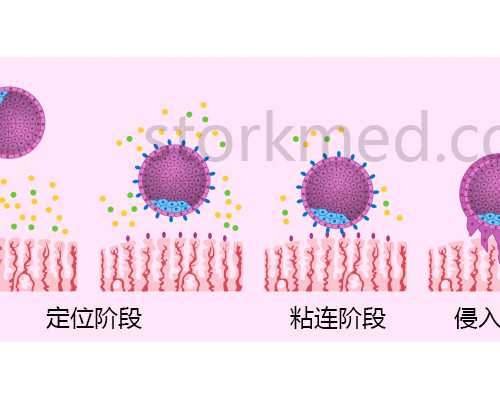 日本试管婴儿技术怎么样成功率高吗-供卵代孕怎么找