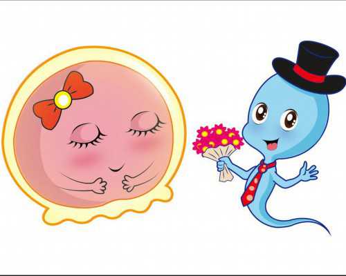 香港上水验血电话_去香港哪里做验血分男女呢_DNA查男女会翻盘吗