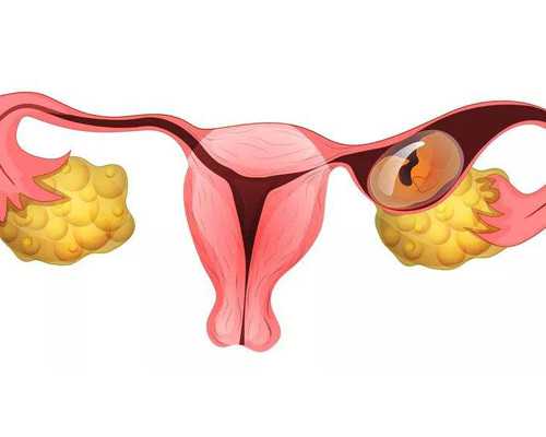 香港验血机构几天知道结果_香港现代基因预约中心?看看生过的宝妈怎么说的