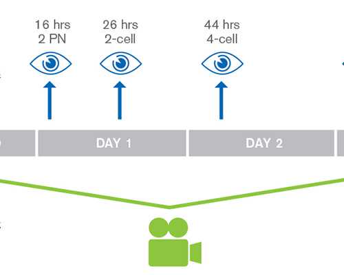 香港验血不满7周准吗_怎么可以去香港验血_亲历者用事实来讲述真相!