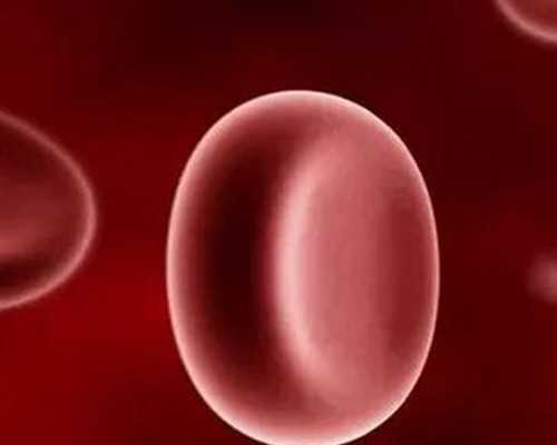 美国试管婴儿要多长时间做完?附上美国试管婴儿的流程步骤-代怀供卵机构