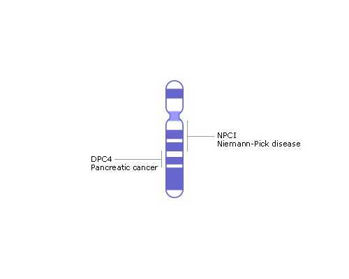 美国第三代试管婴儿的费用?风险有哪些?-三代试管婴儿