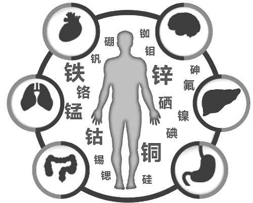 泰国三代试管婴儿步骤有哪些？如何安排时间？-代怀咨询