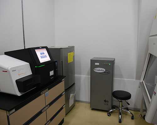 香港验血20周可以么_香港验血哪家强,邮寄验血准不准