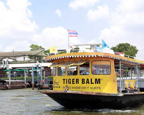 电视剧古玩行的套路在线观看_楷书、隶书展“新局”寻“破局”