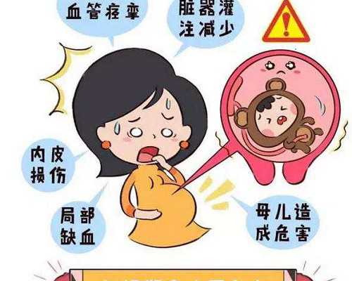 美国与泰国试管婴儿的费用对比-捐卵机构服务