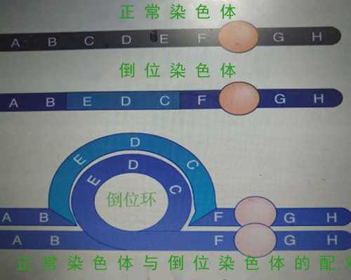 2021年成都古玩交流会_徐悲鸿书法雄强超逸
