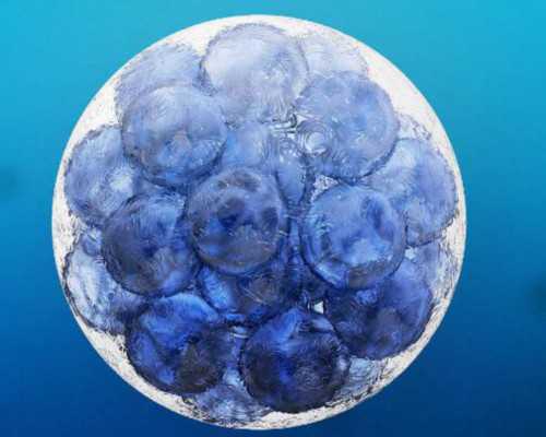 香港验血好害怕结果_关于绿色环保的文章关于环保的文章，600字左右。