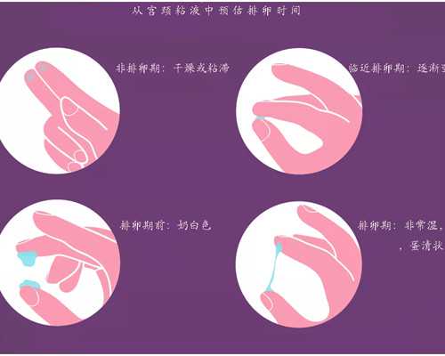 去香港做试管需要中介吗？