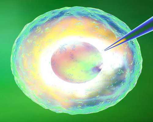 沉浮古玩虫第六集_车轮上的“收藏”：加州蒙特雷旗舰拍卖会