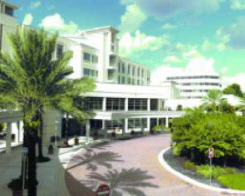 香港验血 流产后多久_通过验血数值看男女_检测性别会不会是骗人的