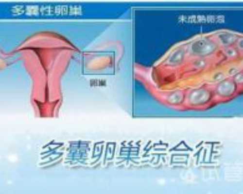 乙肝疫苗抗体会导致香港验血结果吗_香港验血测男女下午可以吗_检测性别会不