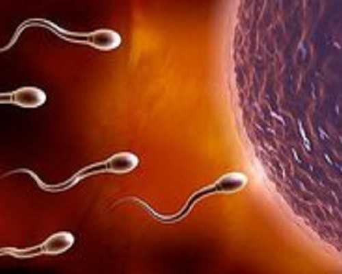 香港验血鉴定男女标准最新_香港能验血识性别_验血女孩竟然翻盘!