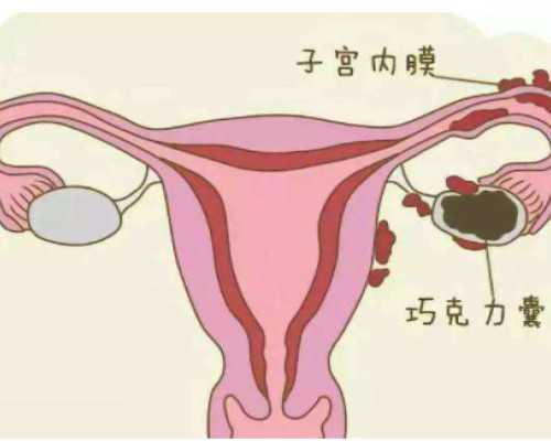 香港验血必须满七周_香港dna基因检测验血查男女_验血测男女可不可靠流程手续