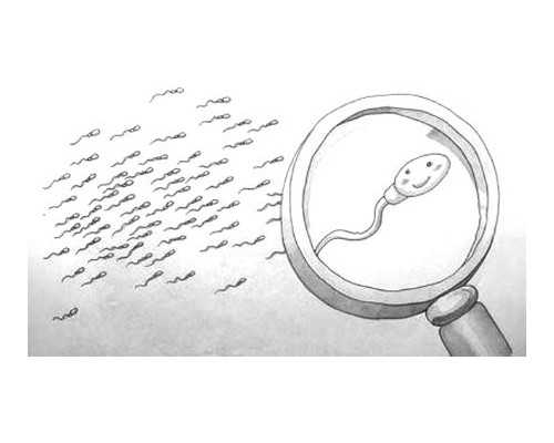 寄香港验血用的是什么管子_香港验血验2次结果一样吗_科学吗时间是多久!