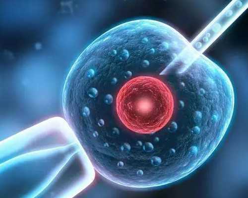 雪诺同和安琪坦的对比雪诺同和安琪坦的区别