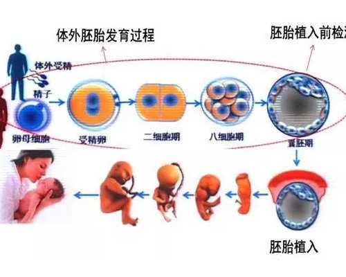 试管移植周期移植当天没有移植，有没有移植当天被取消的？-代孕机构哪家好