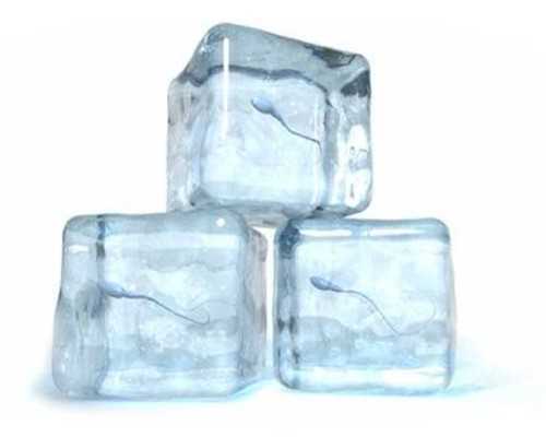 内膜0.7移植囊胚成功率大不大-内膜7mm移植囊胚成功率是多少-本地助孕机构