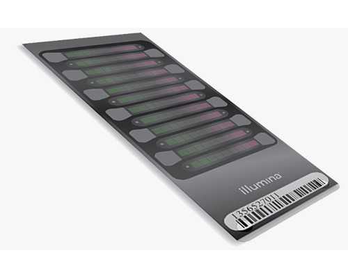 北京古玩市场哪个好_鸟与盆景