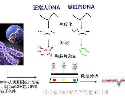 西安古玩上门收购商_中国嘉德2019秋拍精品：李可染巨制《井冈山》