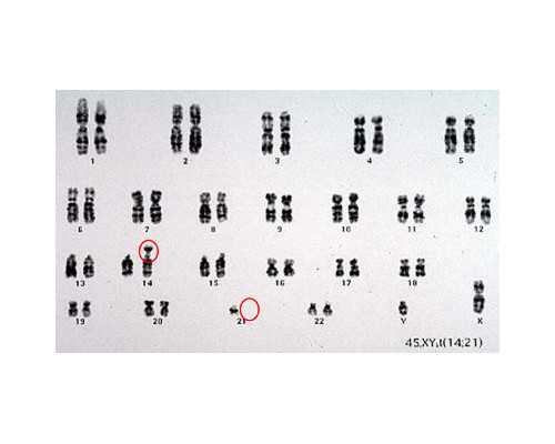 阜阳古玩市场_“野路子”成了“正规军”——山东省寿光市书协工友书法分会