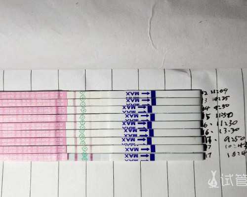 怀孕到香港验血可以吃叶酸吗_香港无创DNA查男女准不准_验血查性别准不准