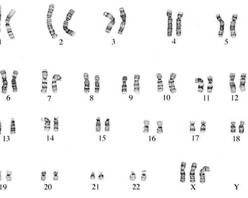 香港验血测男女多久出报告_香港验血网上预约_准不准知道的来说说