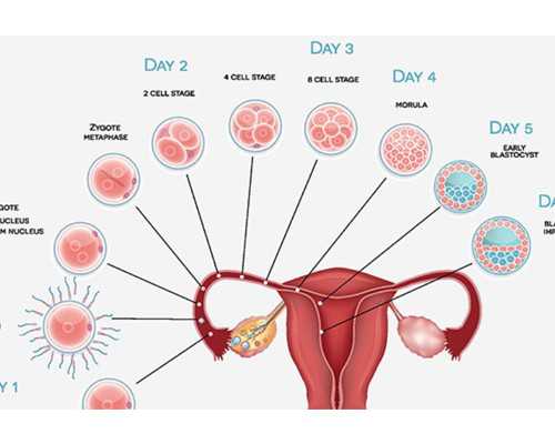 香港验血判断宝宝性别_香港验血没有验到x_最具权威的验血机构是哪家
