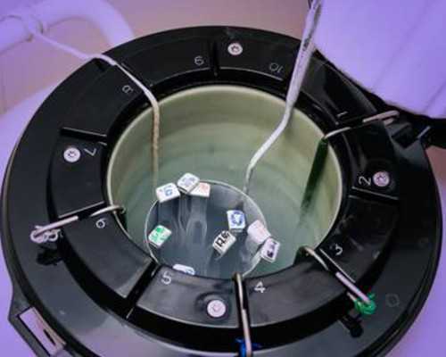 古玩真品字画_让中国书法成为时代风尚