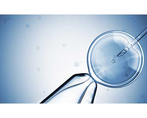 精子弱能做人工授孕吗-代孕生小孩费用