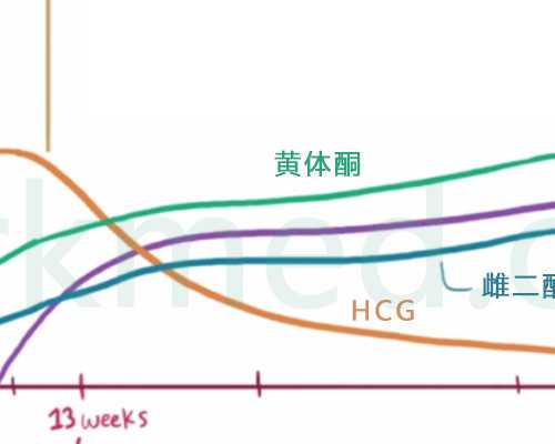 怀孕16周可以香港验血_香港早孕性别诊断费用多少?最全攻略全在这！