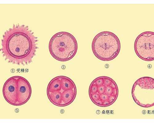 哪家机构泰国做试管婴儿机构好