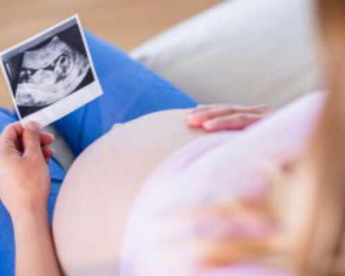 人虫小人物的故事古玩虫_警惕正规协会“山寨化”