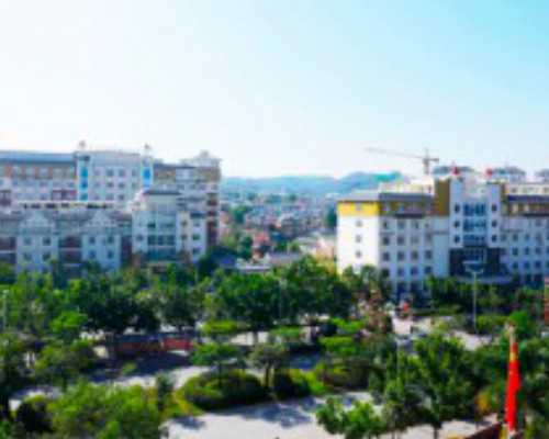 香港验血测性别权威机构_香港贝安验血结果可靠吗_性别鉴定需要满足哪些条件