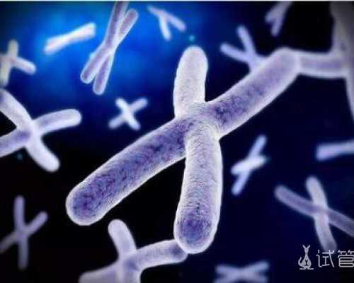 同房后吃黄体酮可以助孕吗，同房后吃黄体酮可以助孕吗女