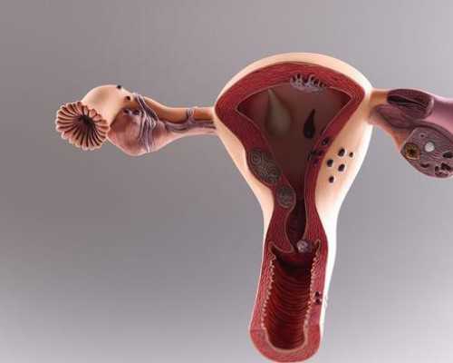 北京古玩出手_乾隆火枪1670万被亚洲藏家买下 系与故宫6名枪同出