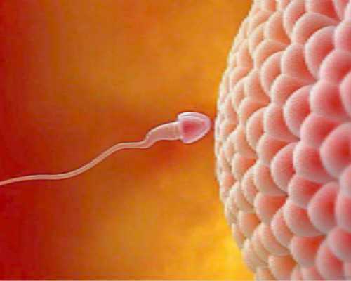 去香港50验血分男女准吗_香港验血16个阳准不准_查男女详细流程,告诉你多少钱