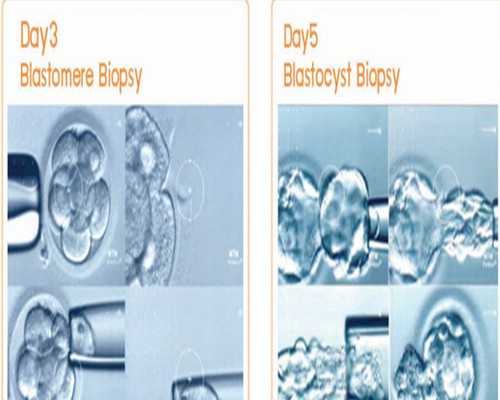古玩鉴定品牌_行云流水意境新——行云作品赏析