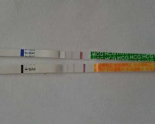 香港验血验男女到底准不准_香港验血45天孕囊多大_验血没y生了男孩!