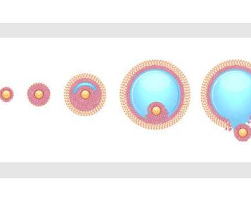 古董私下交易 古玩_碑、帖之争与墓志书法审美