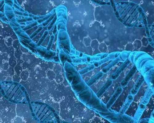 邮寄 香港验血几周可以_香港验血查男女微信号,查男女准确率高不高