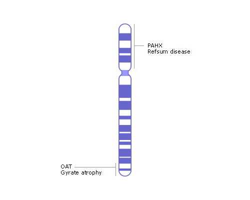 有在香港化验所验血准的宝妈吗_香港可以验男女吗_性别鉴定需要什么条件!