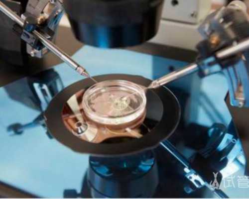 乙肝e抗体阳性应该如何办