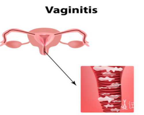 [日本试管婴儿案例分享]日本试管婴儿案例