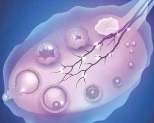 中国古玩交易网老银元_梅兰芳地铁卡价格缘何大涨