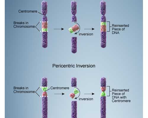 内膜7mm移植囊胚成功率是多少-三代代孕公司