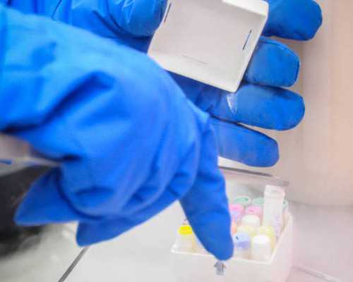 BHF丨美国试管婴儿促排周期需要多久？-哪里做代孕做得好