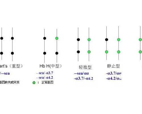乌克兰试管婴儿省钱攻略公开？附试管详细流程