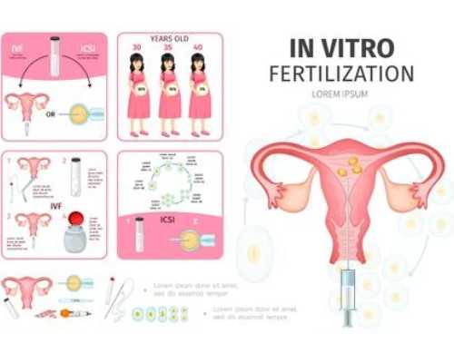 香港验血四大权威机构及地址_以‘静听回声’为题的作文有没有以静听回声为